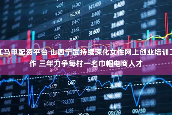 红马甲配资平台 山西宁武持续深化女性网上创业培训工作 三年力争每村一名巾帼电商人才