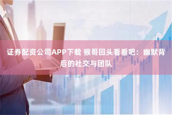 证券配资公司APP下载 猴哥回头看看吧：幽默背后的社交与团队