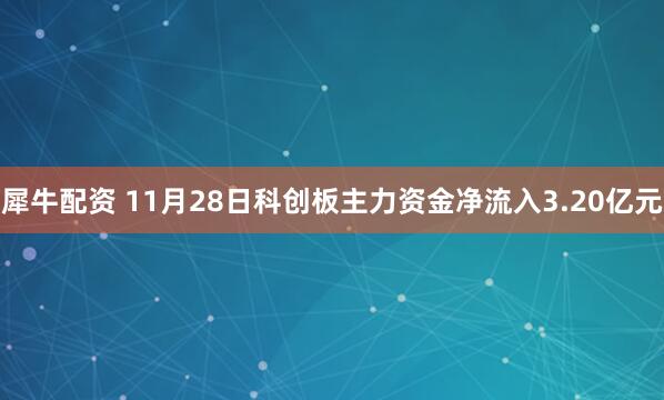 犀牛配资 11月28日科创板主力资金净流入3.20亿元
