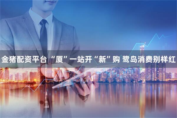金猪配资平台 “厦”一站开“新”购 鹭岛消费别样红