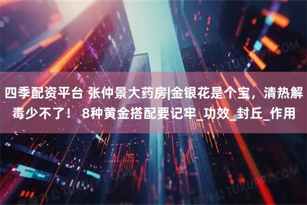 四季配资平台 张仲景大药房|金银花是个宝,清热解毒少不了! 8种黄金搭配要记牢_功效_封丘_作用