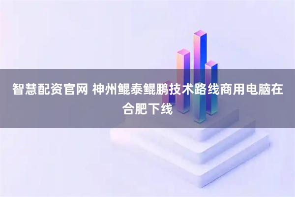 智慧配资官网 神州鲲泰鲲鹏技术路线商用电脑在合肥下线