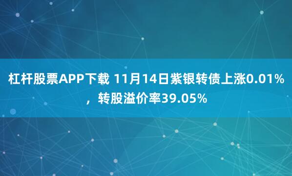 杠杆股票APP下载 11月14日紫银转债上涨0.01%，转股溢价率39.05%